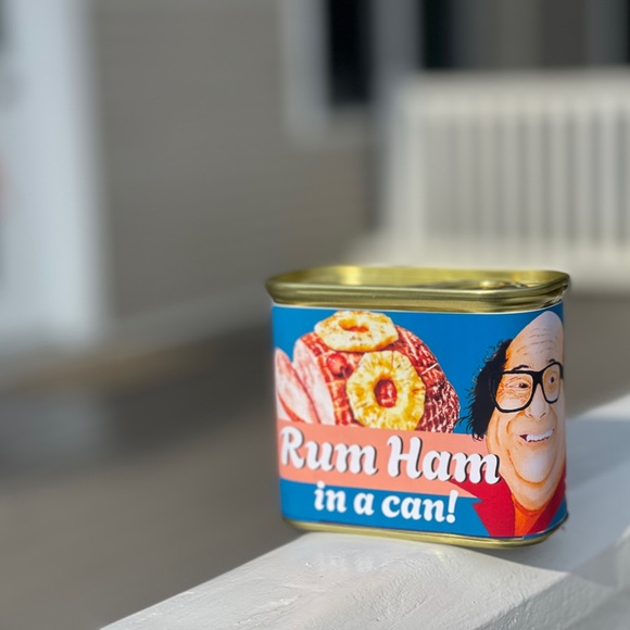 Always Sunny Rum Ham Decoy False Bottom Safe - Danny DeVito Frank Reynolds - Picture 5 of 8